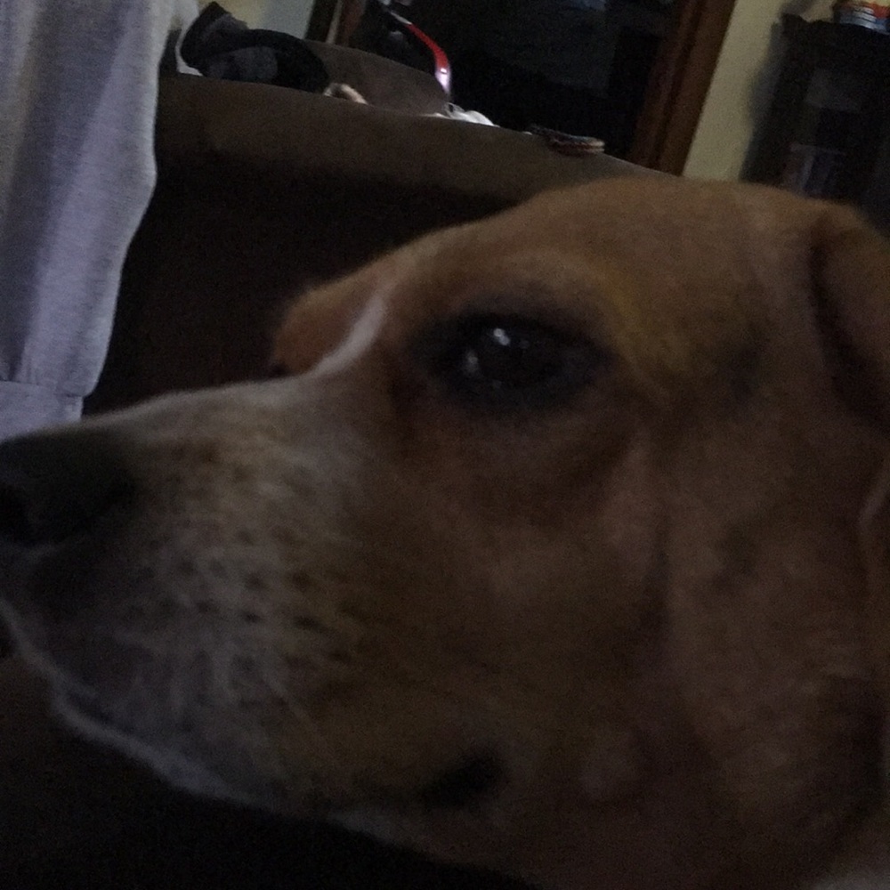 Meet your Posher, Jacqueline darleen